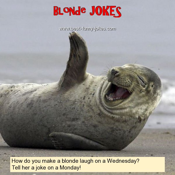 How do you make a blonde laugh