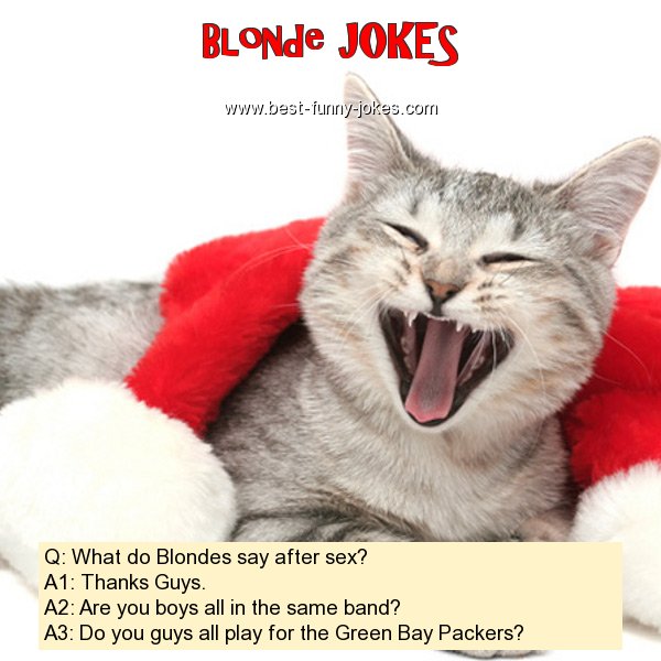 Q: What do Blondes say after s