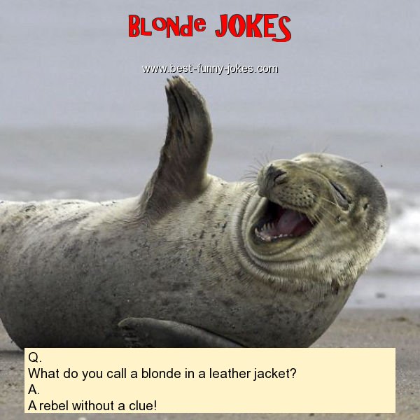 Q. What do you call a blonde i