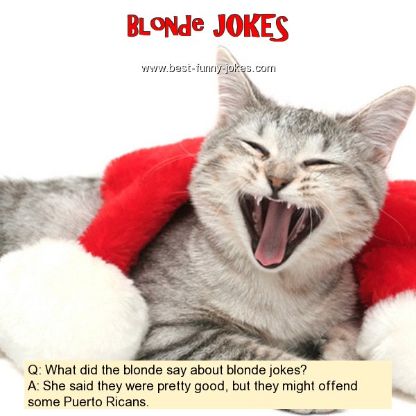 Q: What did the blonde say a