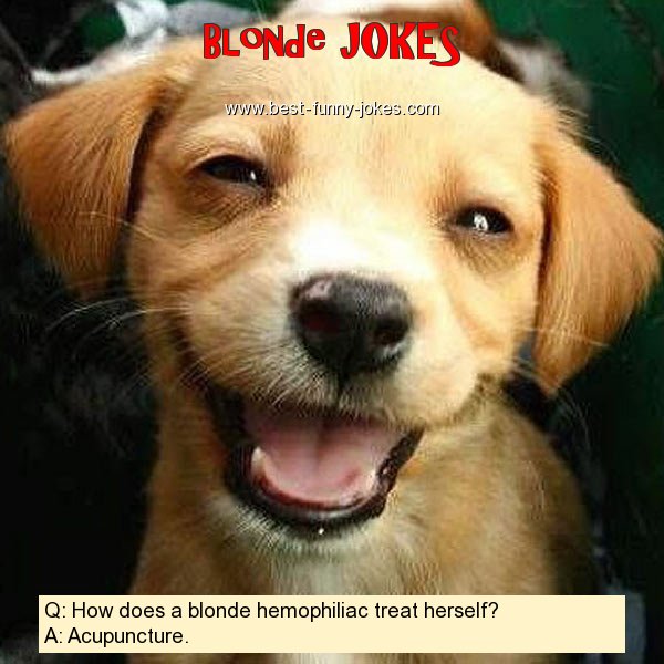 Q: How does a blonde hemophili