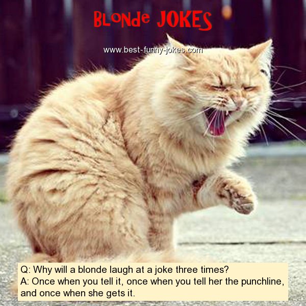 Q: Why will a blonde laugh at