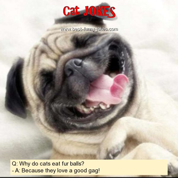 Q: Why do cats eat fur balls?