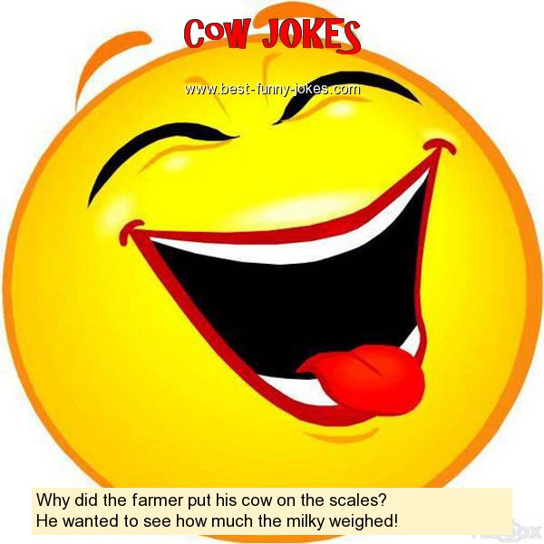Why did the farmer put his cow