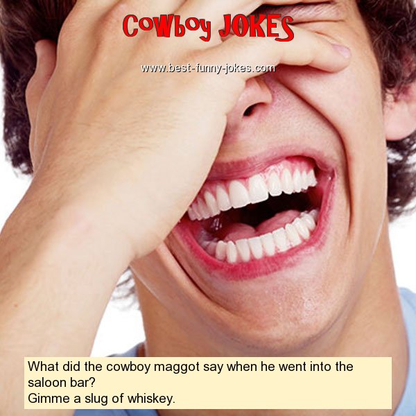 What did the cowboy maggot say