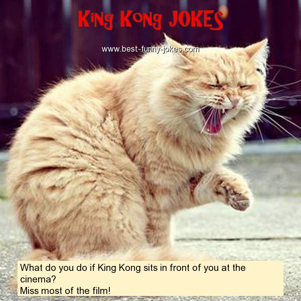 What do you do if King Kong si
