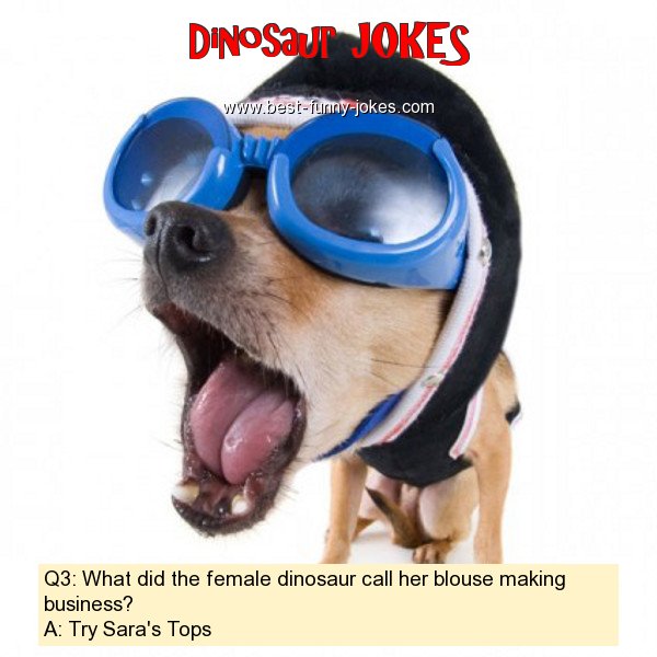 Q3: What did the female dinosa