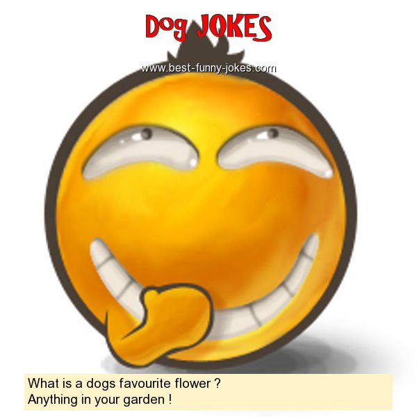 What is a dogs favourite flowe