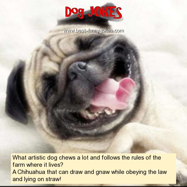 What artistic dog chews a lo