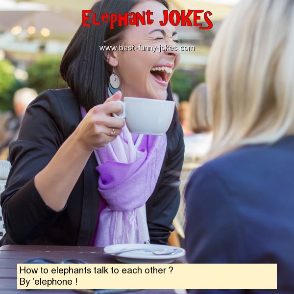 How to elephants talk to each