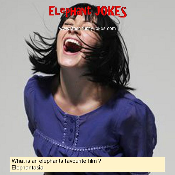 What is an elephants favourite