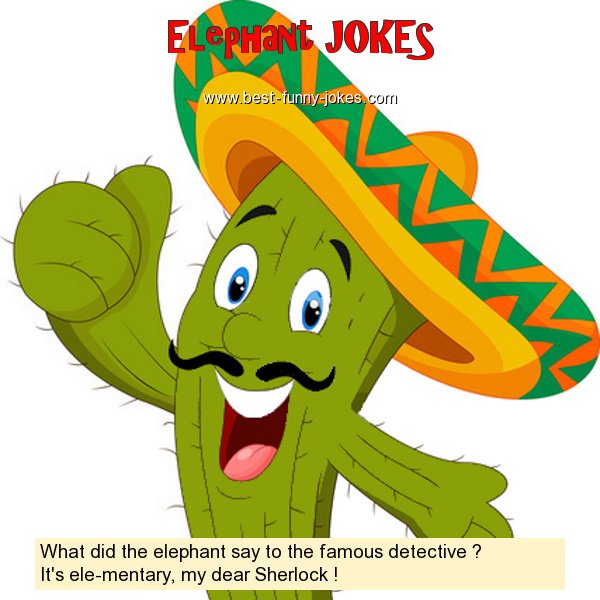 What did the elephant say to t
