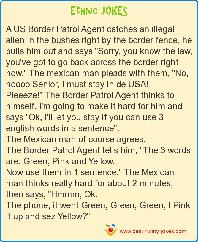 A US Border Patrol Agent catch