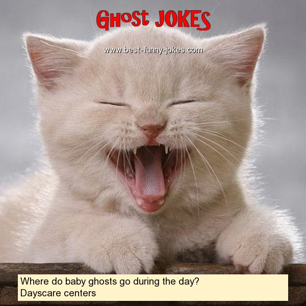 Where do baby ghosts go during