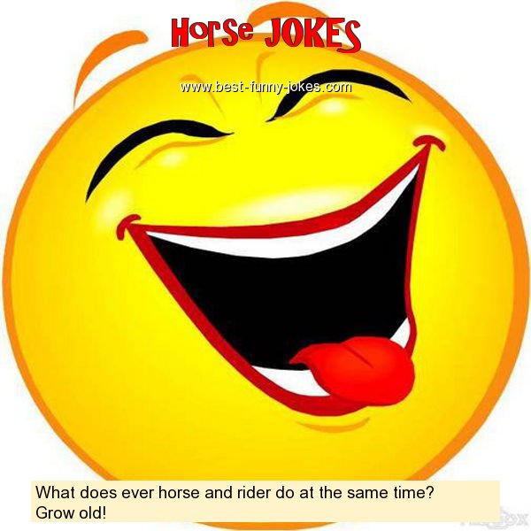 What does ever horse and rider