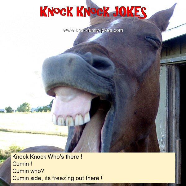Knock Knock Who's there ! Cu