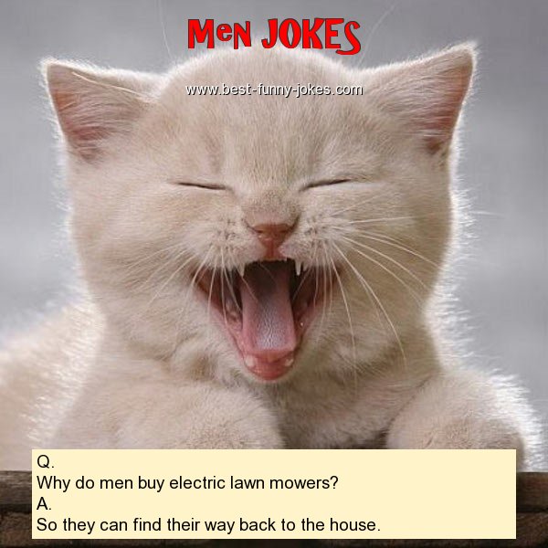 Q. Why do men buy electric l