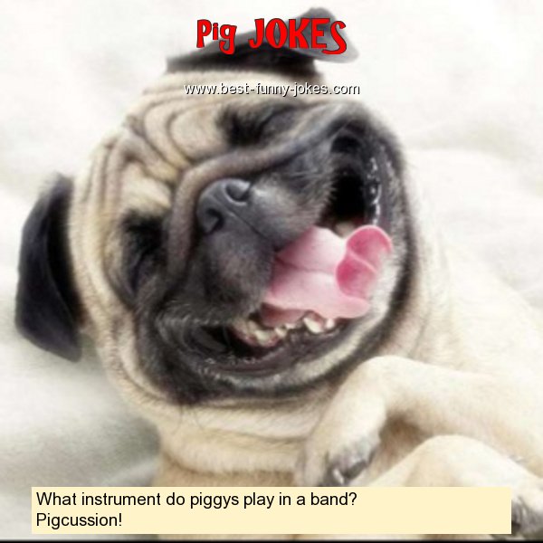 What instrument do piggys play
