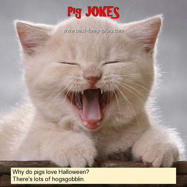 Why do pigs love Halloween?