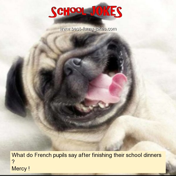 What do French pupils say af