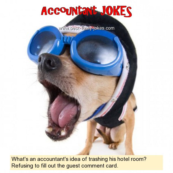 What's an accountant's idea of