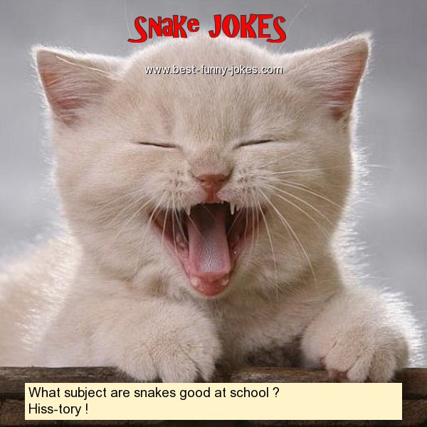 What subject are snakes good a