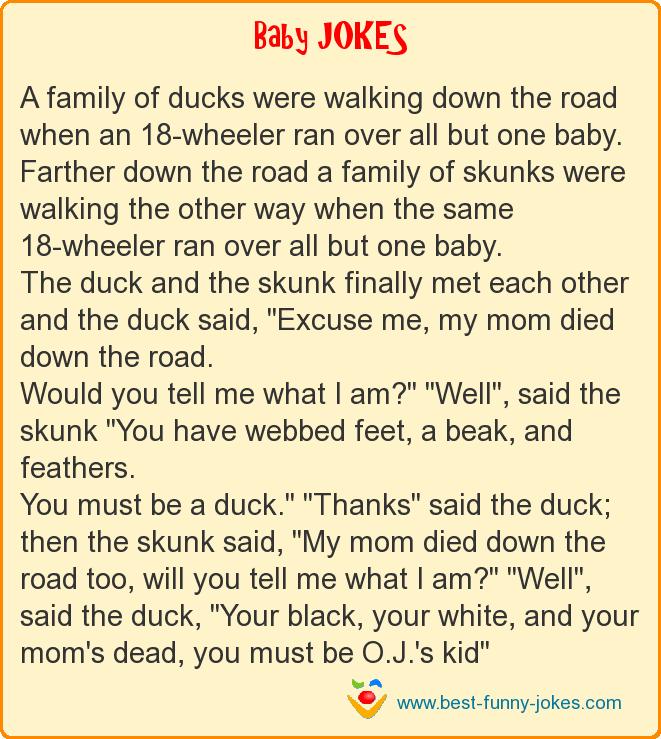 Baby Jokes: A family of ducks we...