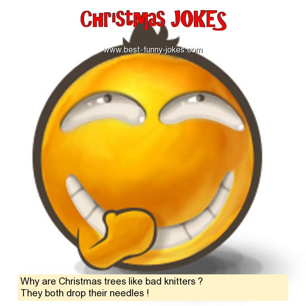 Why are Christmas trees like b