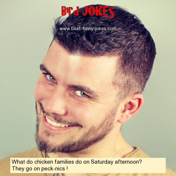 What do chicken families do on