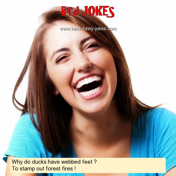 Why do ducks have webbed feet