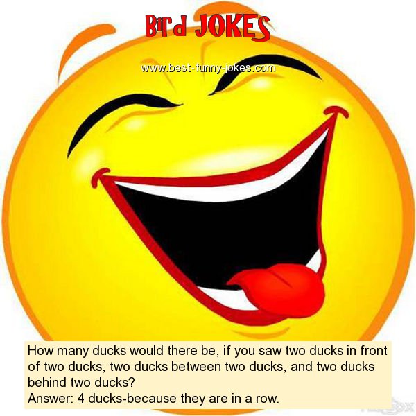 How many ducks would there be,