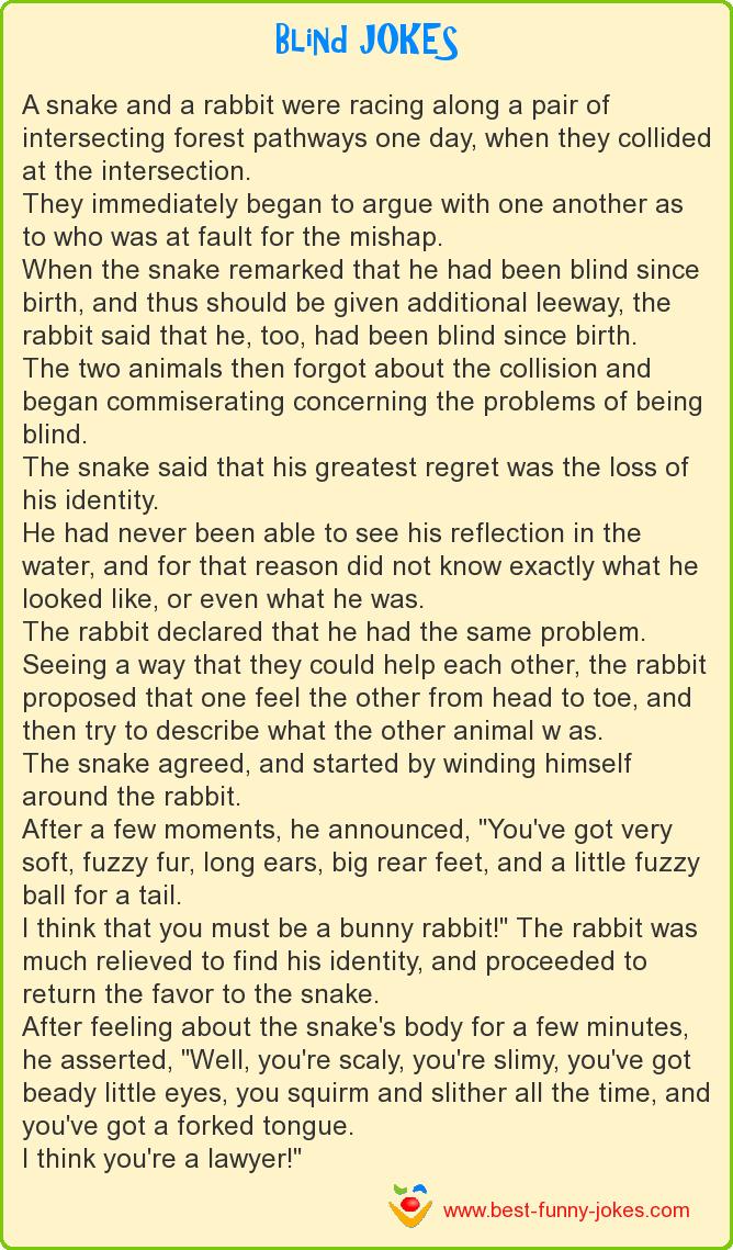 A snake and a rabbit were ra
