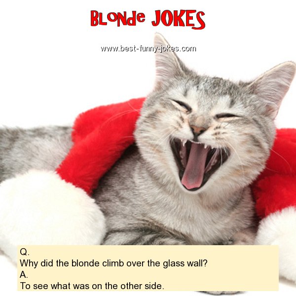 Q. Why did the blonde climb ov