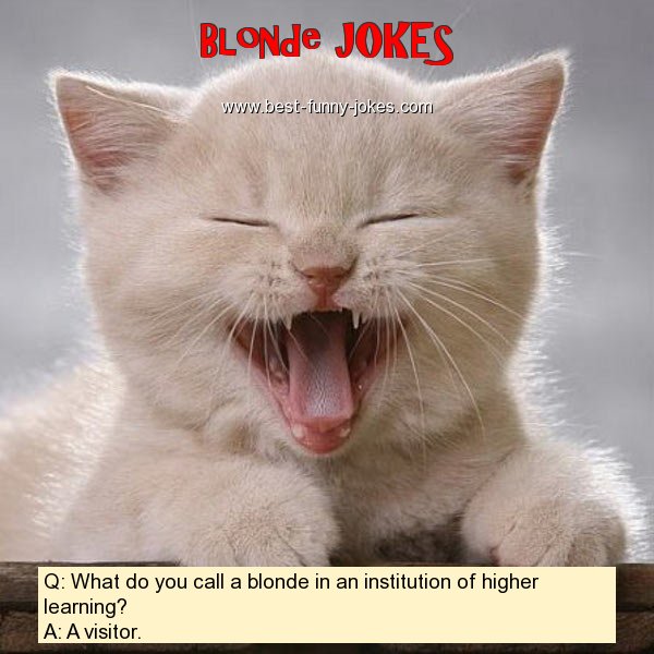 Q: What do you call a blonde i