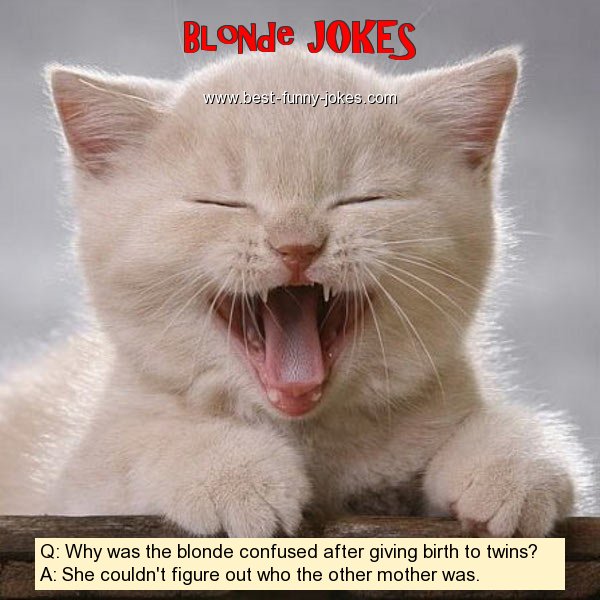 Q: Why was the blonde confus