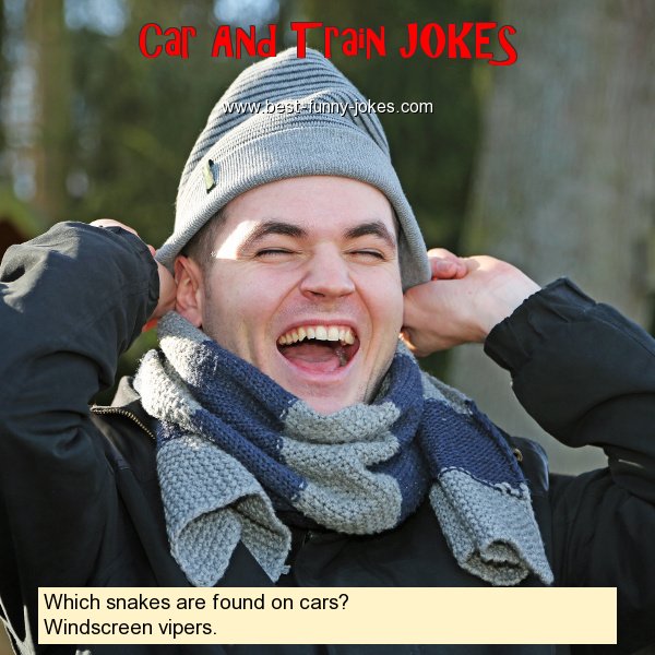 Which snakes are found on cars