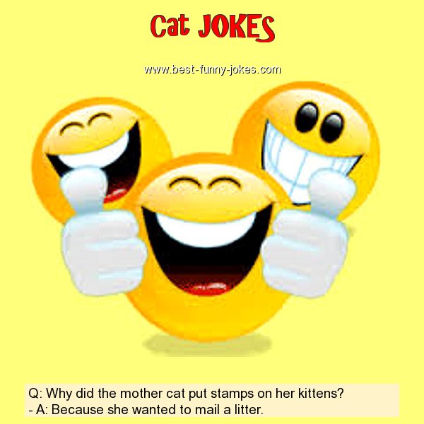 Q: Why did the mother cat put