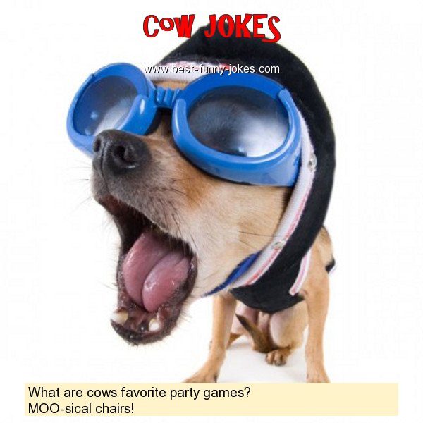 What are cows favorite party g