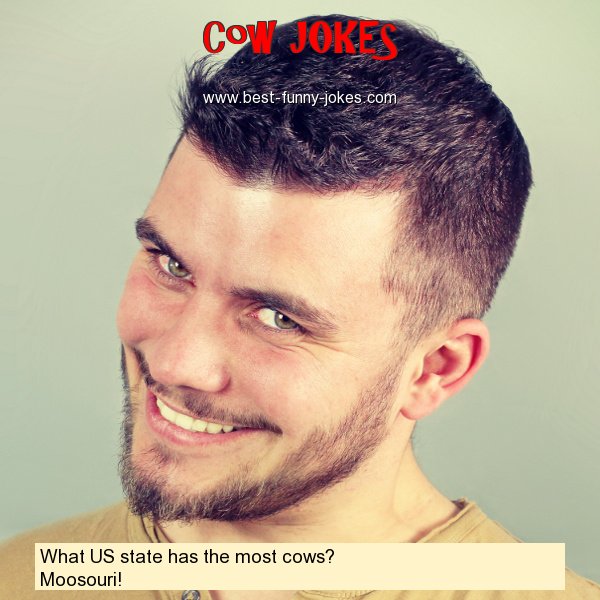 What US state has the most cow