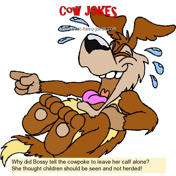 Why did Bossy tell the cowpoke