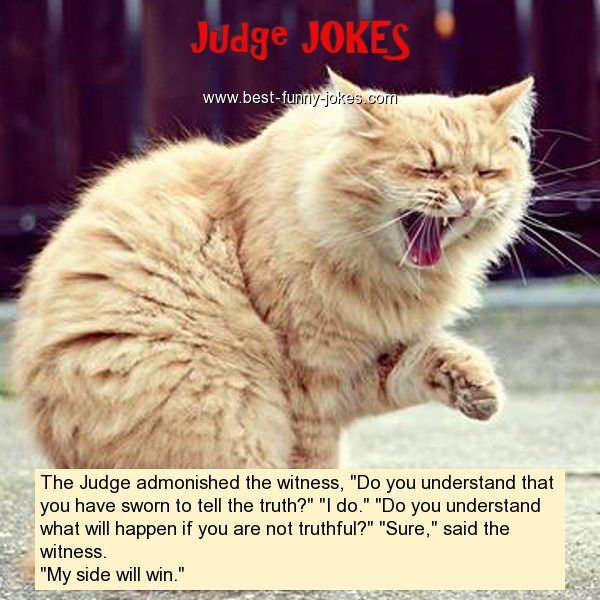 The Judge admonished the witne