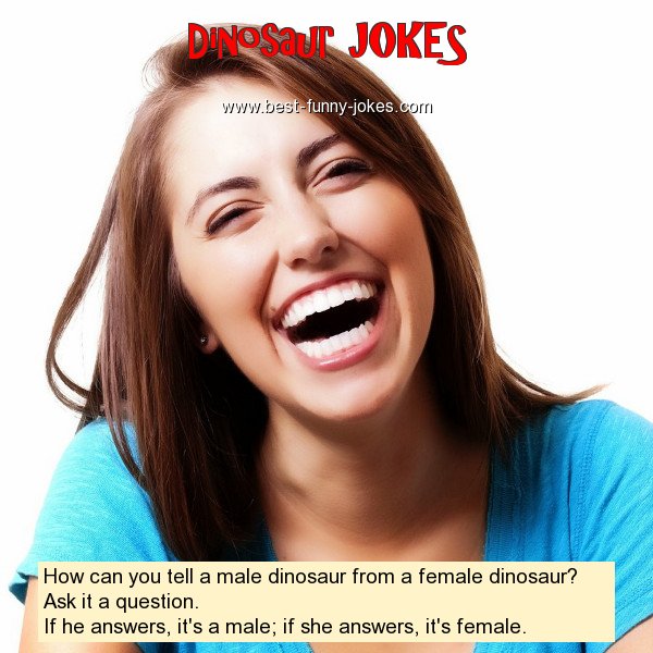 How can you tell a male dino
