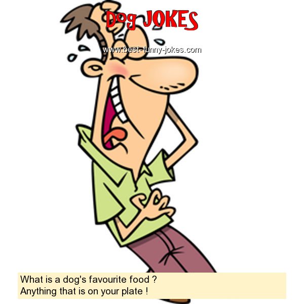 What is a dog's favourite food