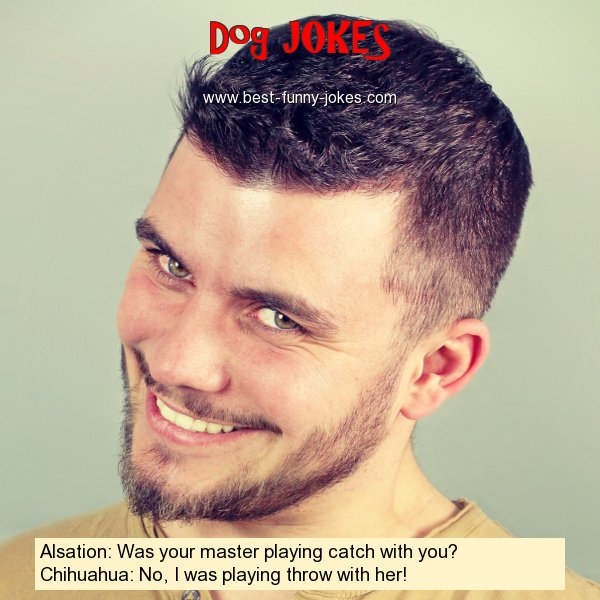 Alsation: Was your master play