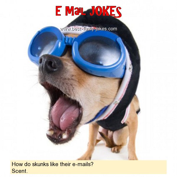 How do skunks like their e-mai