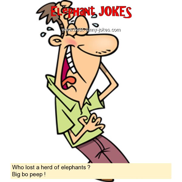 Elephant Jokes: Who lost a herd of e...