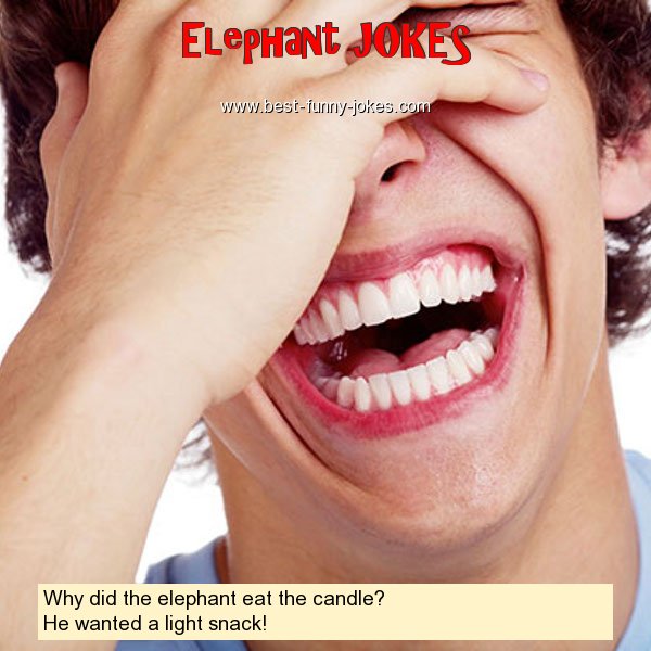 Why did the elephant eat the c