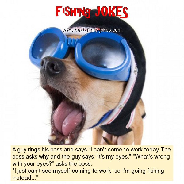 Fishing Jokes: A guy rings his bo...