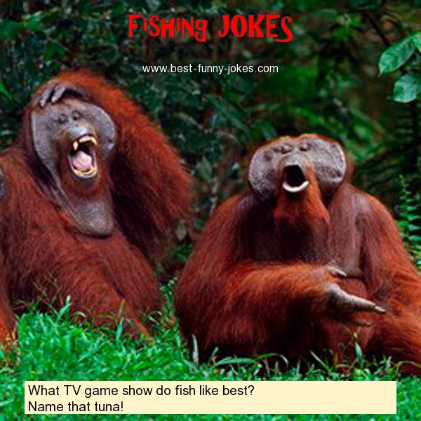 What TV game show do fish like