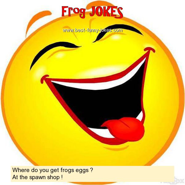 Where do you get frogs eggs ?